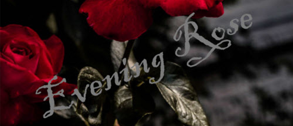 MG Guitar Music - Evening Rose